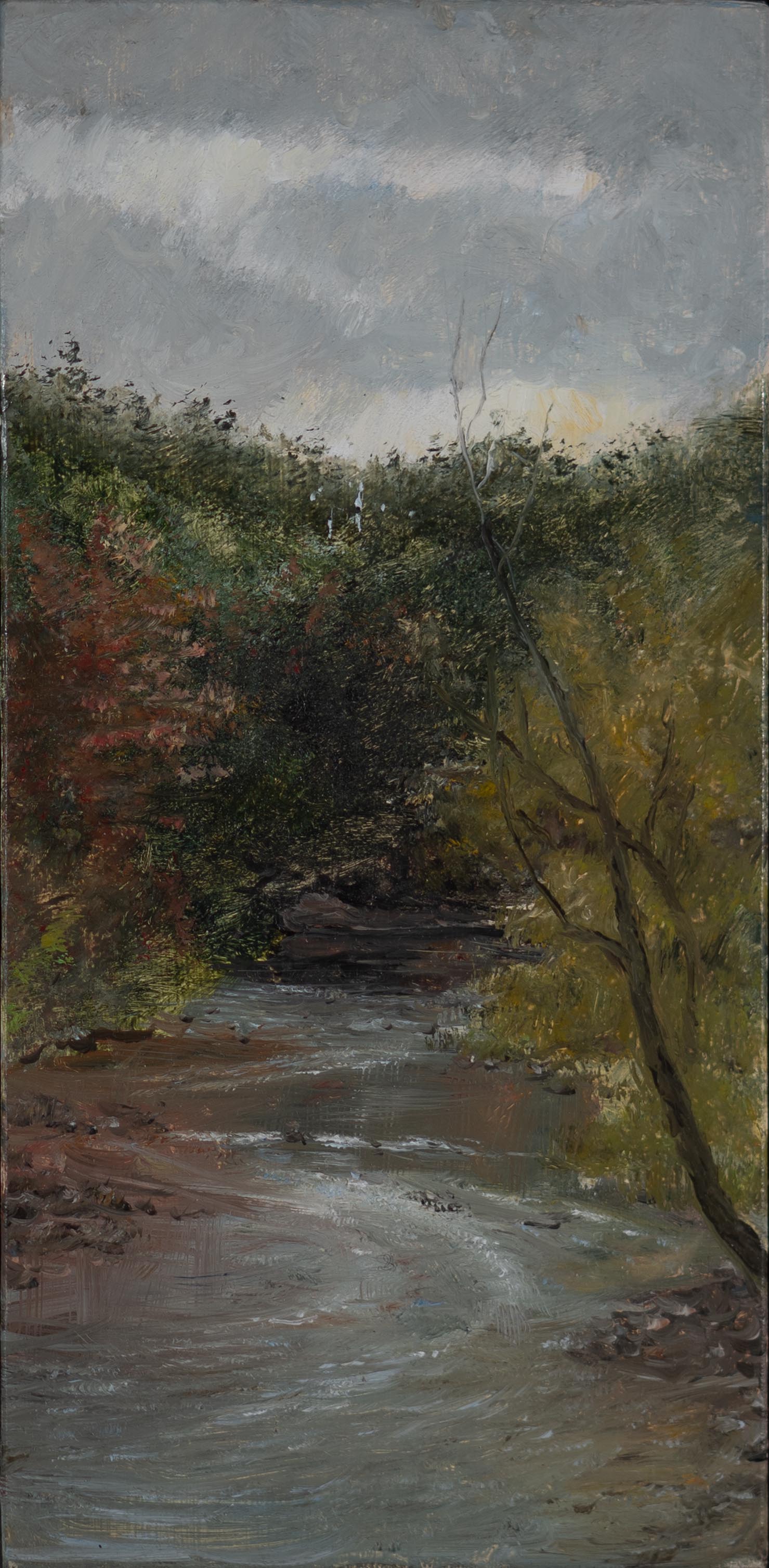 Wissahickon: Looking Upstream From Kitchens Lane Bridge, October Afternoon